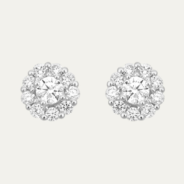 Aukera-Brilliant Halo Studs