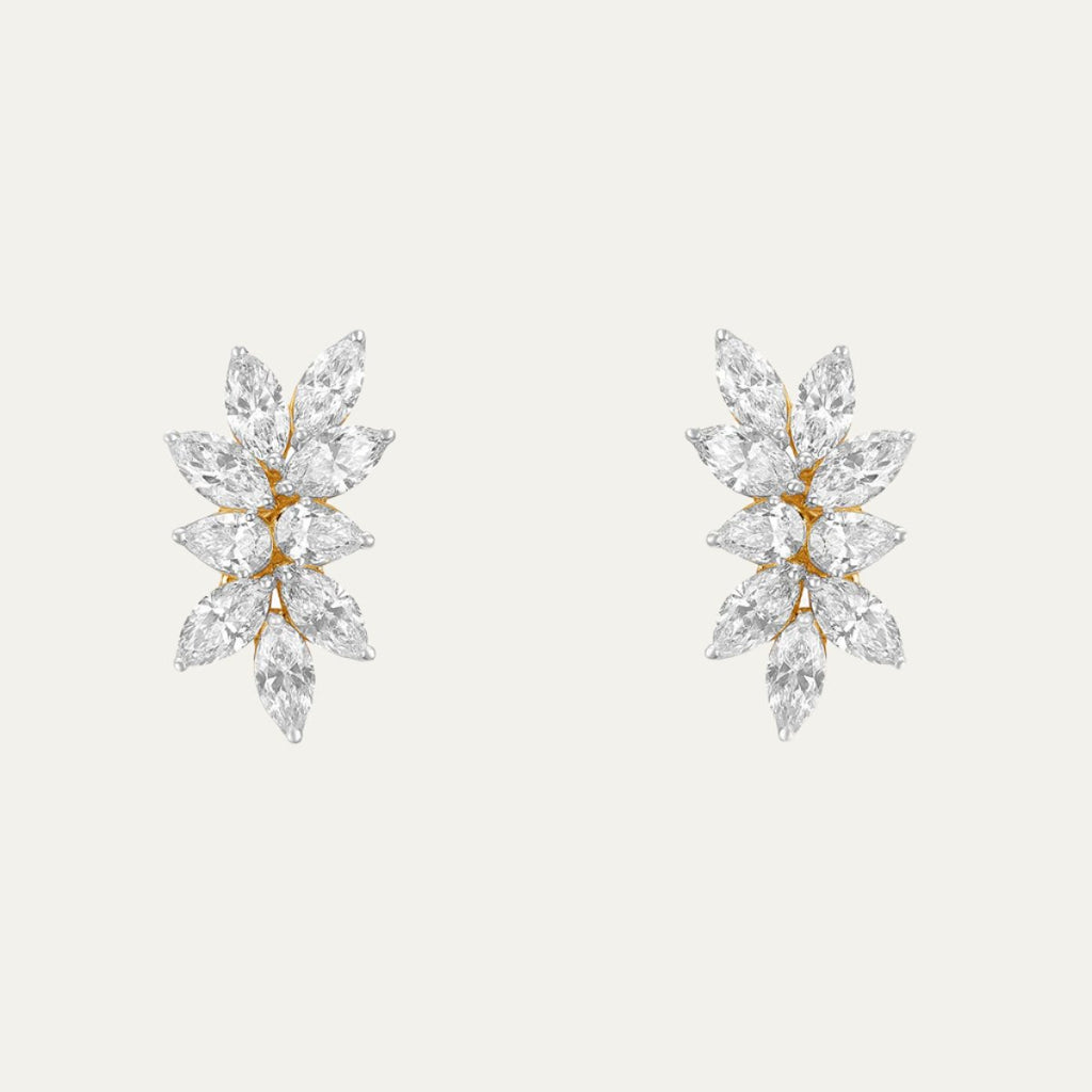 Aukera - Ear Climbers