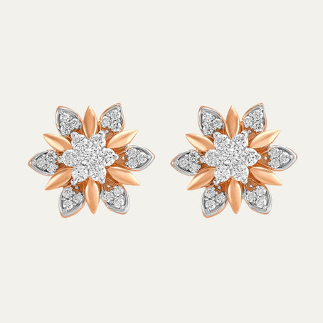 Aukera Celestial Petal Adorn Studs